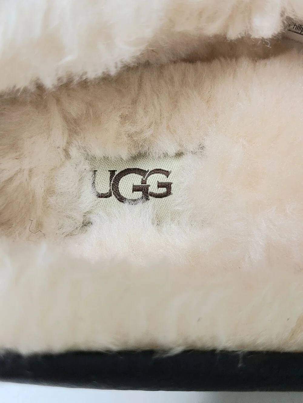 UGG Espresso Ascot Slipper Shoes